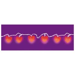 Brand new 😍 8ft. Valentine's Day Heart String Lights by Amscan ✔️