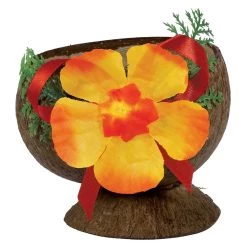 Cheap 🎉 Summer Luau Authentic Coconut Cups with Flowers, 4ct. by Amscan ✔️