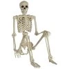 Best Sale ✨ 5ft. Life Size Poseable Skeleton Prop Halloween Décor by Amscan 🛒
