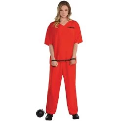 Buy ⌛ Incarcerated Women's Costume, Standard by Amscan ✔️